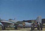 Mosquito.42.jpg