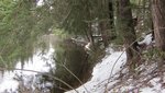 IMG_1751.jpg