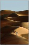 desert_walk_by_shoayb-d5tu6lm.jpg