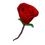 red_rose_turn_heart_shape_lg_clr_154.gif