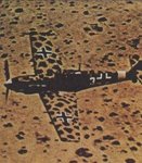 bf_109e_4trop_408.jpg