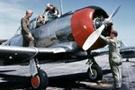 t_6training_150.jpg