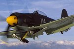 hawkerseafury_165.jpg