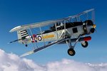 swordfishjpg_124.jpg
