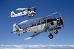 swordfish3_189.jpg