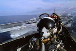 f14pilotcat_725.jpg