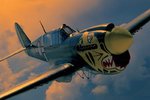 p40warhawk_134.jpg