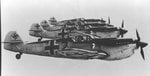 4_buchon_677.jpg