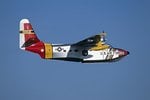 sa16albatross_196.jpg