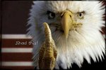 050909_jihadthis_630.jpg