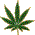 weed_155.gif