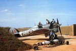 hawker_typhoon_on_the_ground_156.jpg