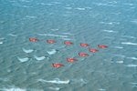 eurofighters_in_formation_with_the_red_arrows_resized_183.jpg