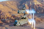 03_chinooks_699.jpg