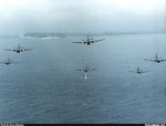 caribou2_170.jpg