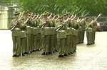army031_888.jpg