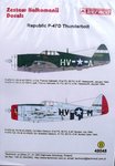 P-47D Decals-5601.jpg