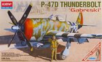 P-47D Gabreski.jpg