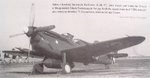 buchon.jpg