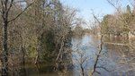 IMG_1787.jpg