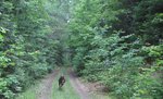 IMG_1799.jpg
