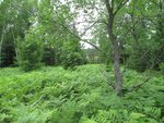 IMG_1820.jpg