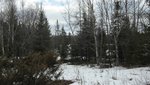 IMG_1740.jpg