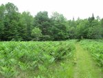 IMG_1821.jpg