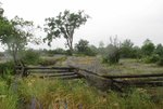 IMG_1831.jpg