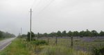 IMG_1829.jpg