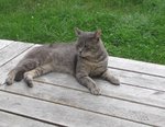 IMG_1824.jpg