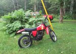 IMG_1827.jpg