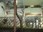IMG_0462.jpg