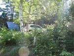 IMG_1849.jpg