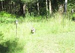 IMG_1851.jpg