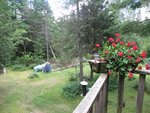 IMG_1865.jpg