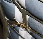 IMG_0295R.jpg
