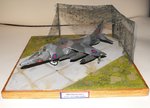 Harrier 052.jpg