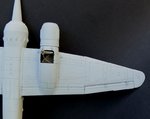 103_Panel Lines-Wings_0937.jpg