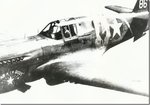 P-40E-Andy Reynolds-Stardust-inflt.jpg