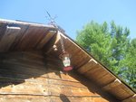 IMG_1877.jpg
