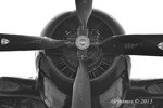 Dux Bearcat B&W.jpg