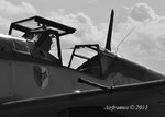 Dux Buchon B&W.jpg