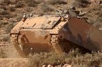 c0206106_258.jpg