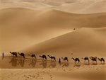 camel_caravan_libya_644.jpg