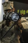 nighthunter_715.jpg