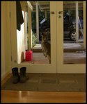 knockknock_104.jpg