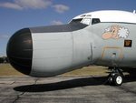 nose_889.jpg