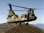 chinook1_531.jpg