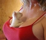 zzkitten_cleavage_257.jpg